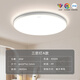 Philips (PHILIPS) LED full spectrum balcony ceiling light ultra-thin three-proof bedroom living room outdoor lighting fixtures full spectrum 36w medium light diameter 42cm