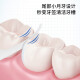 Shuke Professional Dental Floss Picks 50 pcs/box Adult Tough Flat Floss Toothpicks Conveniently Packed in a Box