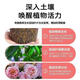 Plant bursting hormone, budding hormone, succulent leaf inserts, germination promotion, household flower growing fertilizer, old pile plant clear leaf fertilizer, old pile dry yellow leaves first aid, new buds grow, 3 barrels 7500ml