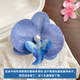 DOROCH blue Phalaenopsis gift wrapping paper decorative clips 2 Christmas gifts Thanksgiving New Year's Day photo props