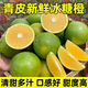 Lemon Bang Yunnan Green and Yellow Peeled Rock Sugar Oranges Seasonal Fresh Fruit Picking Straight from the Source 55mm-60mm 5Jin Jin is equal to 0.5kg Net weight in box 4.5Jin Jin is equal to 0.5kg