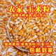 High-quality corn kernels for feeding ducks and pigeons, whole corn kernels, full kernels, low-priced dry corn for breeding and raising chickens, new corn 805 grams, clean, nationwide express delivery to towns and villages