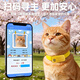 Green magnetic pet gps positioning tracker cat and dog anti-lost device positioning collar collar anti-disassembly tracking artifact