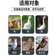 Freeze-dried powder for ducks, chicken, duck and goose diseases freeze-dried powder, soft foot, lame disease, serositis, anti-viral veterinary breeding medicine, one bag, complete treatment of chicken, duck and goose diseases
