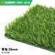 Co-Create Lawn Artificial Turf Courtyard Kindergarten Golf Simulated Turf Garden Gym School Rooftop False Lawn Villa Kindergarten Special Grass (Spring Grass)