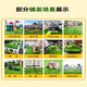 Fake lawn simulated artificial turf plastic green carpet rooftop balcony roof sun room villa courtyard outdoor 2.5 cm thickened extra dense spring grass 4 meters wide 1 meter long artificial cutting