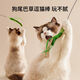 Cat Toy Dog Tail Grass Long Cat Flirting Stick Cat Toy Self-Happiness and Boredom Relief Artifact Kitten Toy Cat Supplies Dog Tail Grass Flirting Cat Stick Green 1 Pack