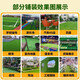 Simulated lawn, artificial artificial plastic, fake turf carpet, green fence decoration, bedding, balcony outdoor kindergarten, 2cm encrypted high-quality spring grass, 92% of customers choose it, 1.5m wide x 3m long