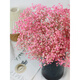 Jatu Dace Festival Dried Flowers Everlasting Gypsophila Real Flowers Home Wedding Decoration Flower Arrangement Window Soft Decoration Landscaping Dream Star Yunnan Straight Everlasting Gypsophila Light Pink About 120g
