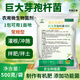 YIQIANGSHENGWU 500g/pack Bacillus megaterium solubilizes phosphorus and potassium, improves soil, improves organic matter, promotes root growth 500g/pack