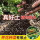Universal plant nutrient soil for growing vegetables, succulent pothos seedlings, fertilizer soil for flowers, organic soil 2Jin Jin is equal to 0.5kg, selected high-grade nutrient soil, universal type