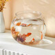 Round household transparent small fish tank desktop 4K ultra-clear desktop fish tank decoration and ornamental one-piece desktop ecological aquarium turtle tank goldfish tank round fish tank extra large 21*22.5*24.5cm