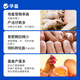 Huaxiu mold removal agent for veterinary pregnant animals can be used to remove mold for pigs, cattle, sheep, chicken and duck feed additives, sow mold removal agent 1 bag, high-end fast-dissolving mold removal agent 2Jin Jin equal to 0.5 kg/bag