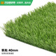 Co-Create Lawn Artificial Turf Courtyard Kindergarten Golf Simulated Turf Garden Gym School Rooftop Fake Lawn Villa 40mm Thickened Encrypted Ordinary Style (Spring Grass)