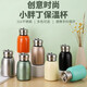 Mini Cute Little Fatty Thermos Cup 316 Stainless Steel Water Cup for Boys and Girls Outdoor Carry Ring Pocket Cup Light Green 300ml