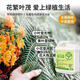 Plant bursting hormone, budding hormone, succulent leaf inserts, germination promotion, household flower growing fertilizer, old pile plant clear leaf fertilizer, old pile dry yellow leaves first aid, new buds grow, 3 barrels 7500ml