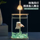 Round household transparent small fish tank desktop 4K ultra-clear desktop fish tank decoration ornamental one-piece desktop ecological aquarium turtle tank goldfish tank blue diamond pearl coral package