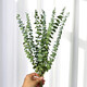 Eucalyptus leaf dried flower bouquet, natural air-dried branches, light luxury creative DIY decorative material ornaments, original color eucalyptus