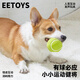 EETOYS Green Tennis Dog Toy Sound Interactive Washable Teeth Cleaning Ball Pet Supplies