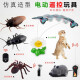 Cat Toy Electric Cat Funny Stick Remote Control Fake Mouse Plush Simulation Cat Supplies Little Kittens Cats Love Remote Control Cockroaches