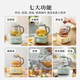 Beiding health kettle all-glass kettle self-operated multi-functional stew kettle teapot one-piece office household thermostatic kettle electric kettle 1.2L FK571 small goose yellow