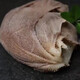 Necessary for hot pot: Black tripe 3Jin Jin is equal to 0.5kg. Fresh beef tripe with 10-leaf leaves and large leaves. Must-have for hot pot: Black tripe 500g*2 bags