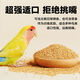Bird food eaten by budgerigars: Black Phoenix Munnia shelled millet red millet bird feed yellow millet mixed shelled yellow grain rich in protein fiber healthy meat growth 550g yellow millet parrot food