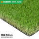 Co-Create Lawn Artificial Turf Courtyard Kindergarten Golf Simulated Turf Garden Gym School Rooftop Fake Lawn Villa 30mm Thickened Encrypted Upgrade (Autumn Grass)