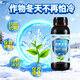 Pastoral Fengqing Crop Cold-resistant Guard Anti-freeze and cold-resistant flower and fruit vegetable greenhouse fruit tree anti-freeze damage and anti-freeze 1000g 1 bottle Cold-resistant Guard