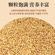 Bird food eaten by budgerigars: Black Phoenix Munnia shelled millet red millet bird feed yellow millet mixed shelled yellow grain rich in protein fiber healthy meat growth 550g yellow millet parrot food