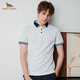 HENRY GRANT Henry Grant 2025 Summer Printed Logo Contrast Color POLO Shirt Men's Trendy Short-Sleeved Lapel T-Shirt White (QST242730U366) One Size 46 (170/92A)