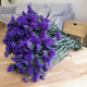 LDVEP Yunnan Forget-Me-Nots Dried Flower Bouquet of Gypsophila Real Flowers Purple Forget-Me-Nots 2Jin Jin equals 0.5kg