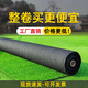 Lezijun simulated grass artificial turf mat carpet plastic decorative turf outdoor engineering enclosure indoor 2 spring black label 1*1
