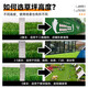 Qingya simulated lawn carpet, fake turf bedding, plastic outdoor artificial court, artificial fence, kindergarten green floor mat, 3 cm, newly upgraded 18-pin super dense anti-aging 3S model (4 meters wide and 25 meters long) 100 square meters