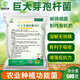 YIQIANGSHENGWU 500g/pack Bacillus megaterium solubilizes phosphorus and potassium, improves soil, improves organic matter, promotes root growth 500g/pack