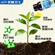 Pastoral Fengqing Crop Cold-resistant Guard Anti-freeze and cold-resistant flower and fruit vegetable greenhouse fruit tree anti-freeze damage and anti-freeze 1000g 1 bottle Cold-resistant Guard