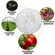 Urea fertilizer 100Jin Jin is equal to 0.5kg general fertilizer for flowers, fruit trees, flowers and vegetables, potted plants, indoor nitrogen fertilizer, 50KG Hainan