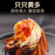 Live Crab Fisherman's Master Hairy Crab Whole Female 3.0-3.3 Liang 8 Pieces Full Weight Fresh Crabs with Rope Removed in Stock Fresh Aquatic Seafood Gift Box