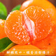 京地达浙江临海涌泉蜜桔新鲜水果橘子桔子重9.2斤单果65mm源头直发包邮