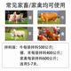 迅销兽用板蓝根粉散末猪牛羊用中药饲料添加剂鸡鸭禽畜感冒清热抗病毒 1袋2斤【纯中药制剂#无赠送】
