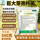 YIQIANGSHENGWU 500g/pack Bacillus megaterium solubilizes phosphorus and potassium, improves soil, improves organic matter, promotes root growth 500g/pack