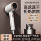 New high-speed silent negative ion hair dryer personal protective appliance strong wind hair dryer for hair salon, hotel and dormitory 311 high-speed motor gray 2200W