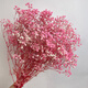 Jatu Dace Festival Dried Flowers Everlasting Gypsophila Real Flowers Home Wedding Decoration Flower Arrangement Window Soft Decoration Landscaping Dream Star Yunnan Straight Everlasting Gypsophila Light Pink About 120g