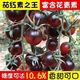Black Tomato Seeds, Waterfall Tomatoes, Black Pearl Cherry Tomatoes, Small Tomato Seeds, Potted Cherry Tomato Fruit Seeds, Black Falls Cherry Tomato Seeds/pack, about 200 capsules, 3 packs