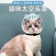 Tanbeiman cat hood cat hood clipper nail anti-scratch artifact anti-biting and anti-licking hood Elizabethan circle bath artifact M size hood suitable for 5-9 Jin Jin equals 0.5 kg kitten