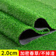 Fake lawn, simulated turf, green carpet, outdoor artificial plastic, artificial bionic outdoor insulation, football field, 2.0cm encrypted spring grass, 1 meter wide*2 meters long