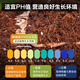Deli nutritional soil universal flower growing soil succulent orchid soil peat soil planting soil flower growing vegetable potting soil 10L