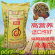 Dejia Meat Chicken Large Chicken Feed Whole Pack 80Jin Jin is equal to 0.5kg high protein chicken, duck and goose pellet bird feed