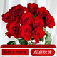 Jingdong Flowers Boutique Water-cultured Soilless Culture New Year's Eve Flowers Valentine's Day Limited Red Roses 20 Pack 45CM+ Straight from the Source