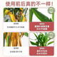 20,000 additional purchases from the entire network, Lucky Bamboo Special Nutrient Solution, Lucky Bamboo Guanyin Bamboo Hydroponic Plant Copper Money Grass Potted Lucky Bamboo Nutrient Solution 300ml 1 bottle
